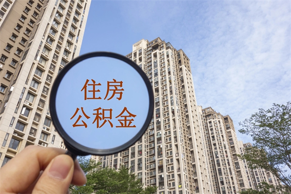 广东公积金的提（&quot;公积金提取&quot;）